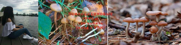 jwh Богданович