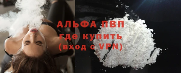 стаф Богородск