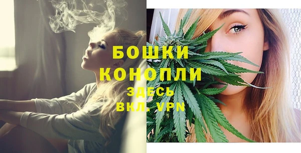 стаф Богородск