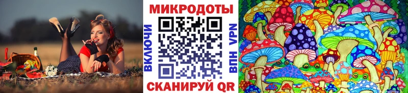 Псилоцибиновые грибы Psilocybine cubensis Купить закладки Амурск